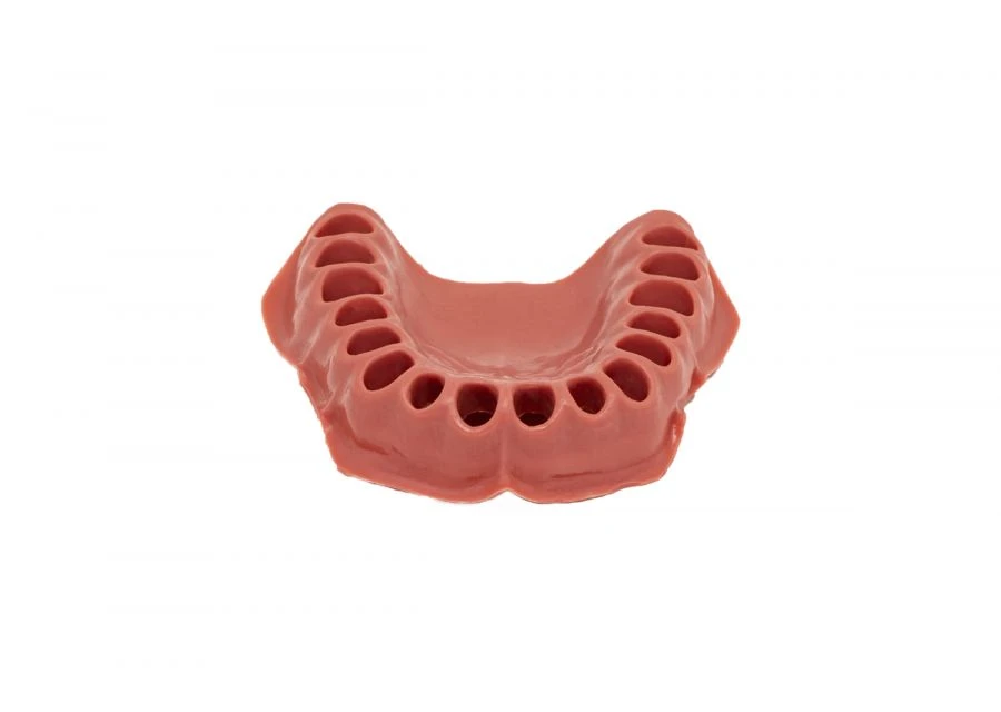 Standard Lower Jaw Gum for Dental Models, 28 Teeth PD-DN M28