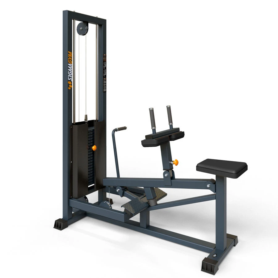 Seated Calf Raise Machine BF-110