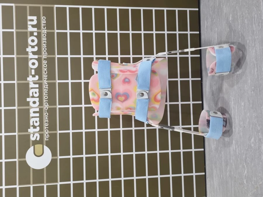 External Fixation Device for Hip Joint - Model T-100