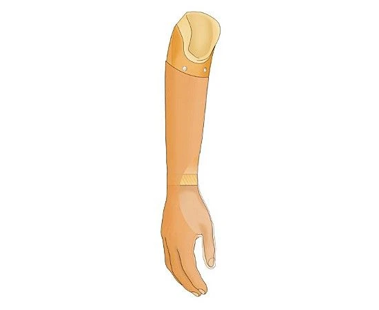 Cosmetic Forearm Prosthesis PR2-K-OK