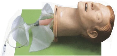Multifunctional Airway Model 51