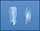 Anatomical Closed Contour Matrix No. 1.952 for Dental Use