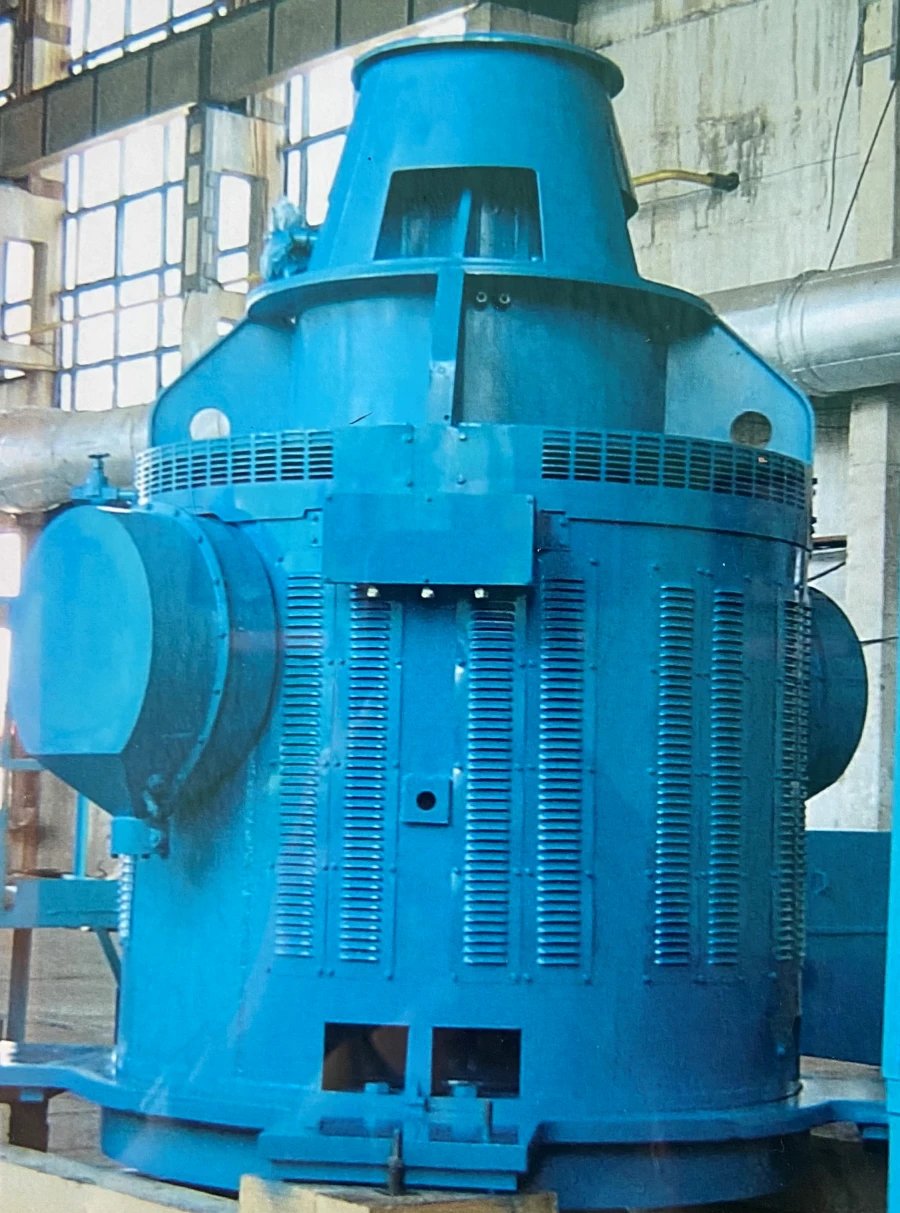 Vertical Asynchronous Motor Dван-143/800/6-12У3