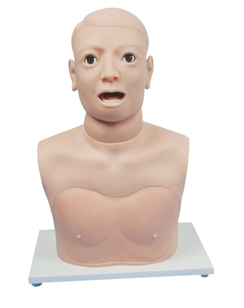 Examination Model of a Polyp, CS6277