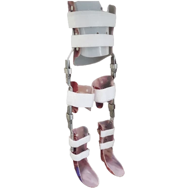 Lower Limb and Torso Orthosis System AN8-STP-03