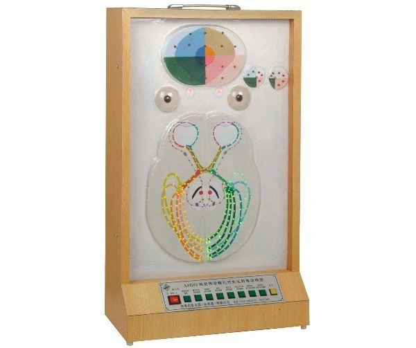 Electric Pupil Light Reflex Model, 17109