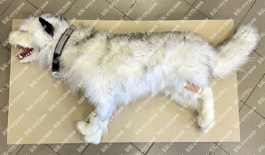 Practical Skills Training Simulator for Resuscitation