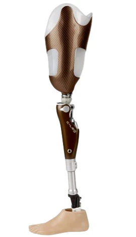 Modular Microprocessor-Controlled Hip Prosthesis PN6-77MU