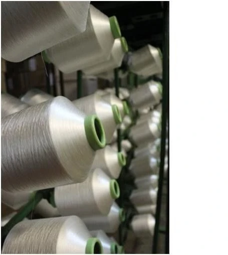 Polyamide Thread for Textile Industry - Ideal for Technical Fabrics and Special Products