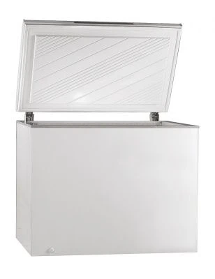 Electrofrost FH-250 Chest Freezer for Efficient Food Storage