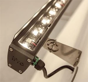 Proline LED Light 50W - Efficient Illumination