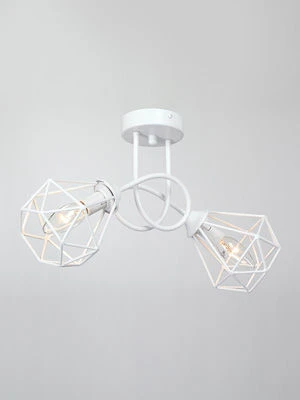 General Purpose Ceiling Light V4930-0/2PL