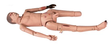 Trauma Assistance Mannequin for Demonstration, model FA6806