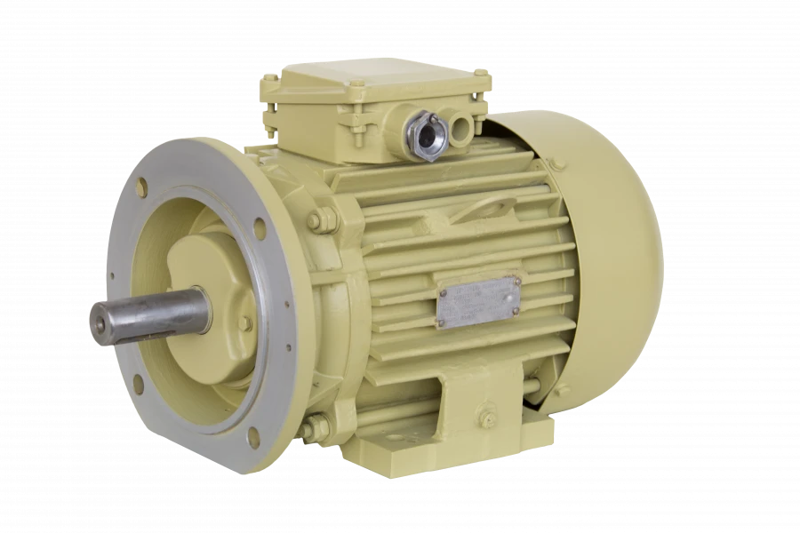 DM112 Three-Phase Asynchronous Motor (750W)