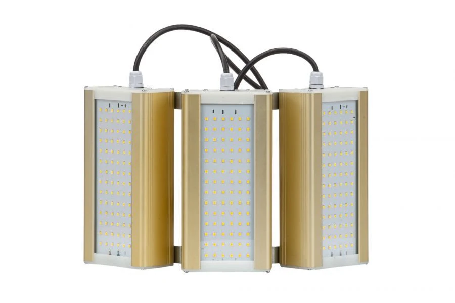 Universal LED Light Module GOLD, UM-3, 5000K, 96W