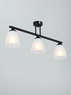 General Purpose Stationary Light V4979-1/3PL