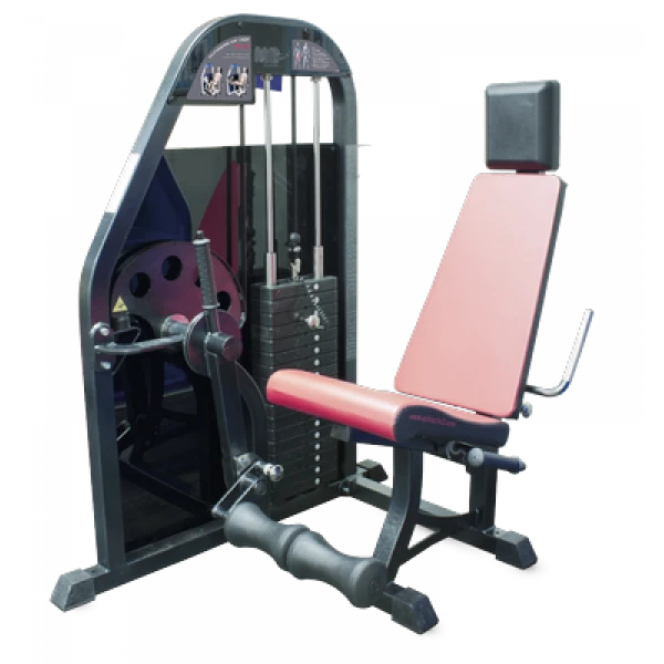 Seated Leg Extension Machine (Weight Stack)