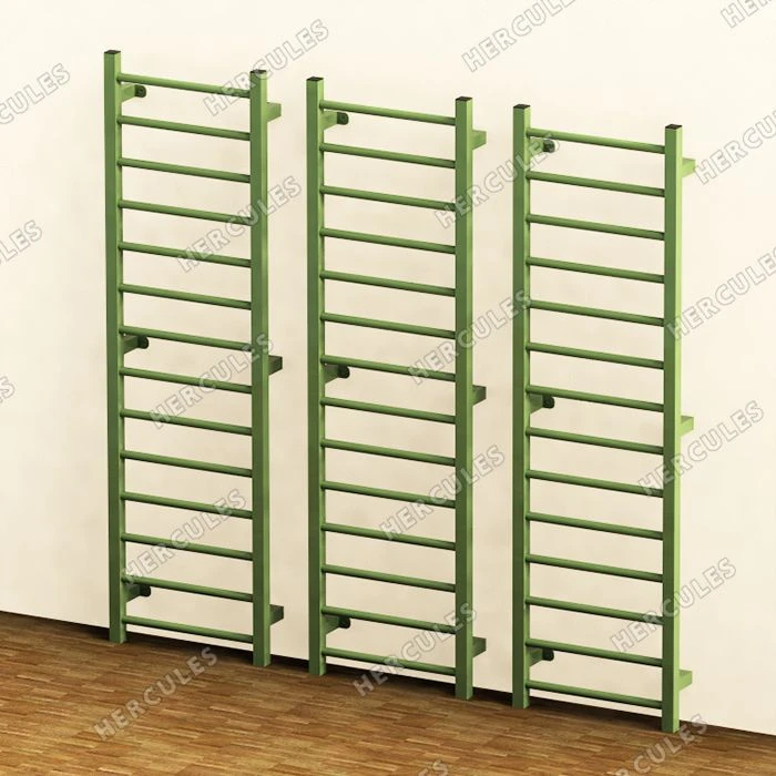 Swedish Wall for Rehabilitation Exercises