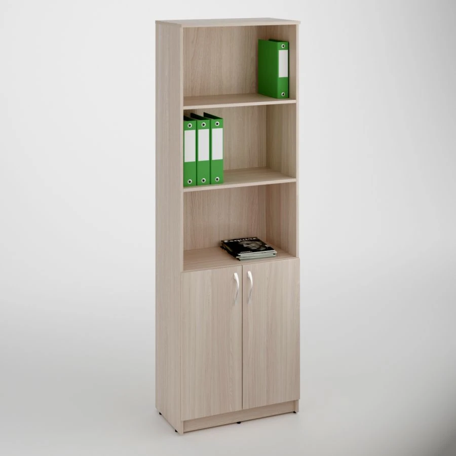 Document Cabinet with 2 Doors and Shelves