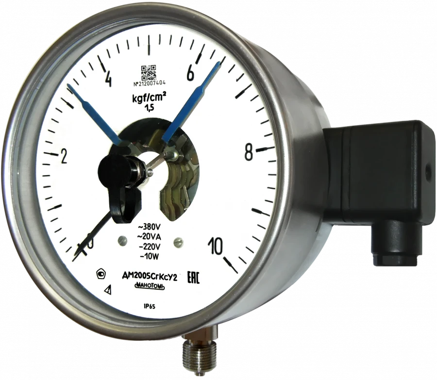 Corrosion-Resistant Pressure Gauge DM2005SgKs