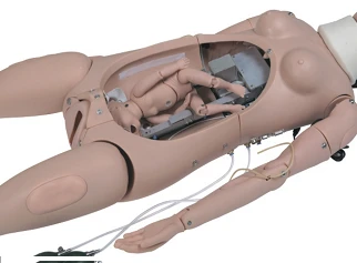 Labor Simulation Manikin F55 - Comprehensive Childbirth Trainer