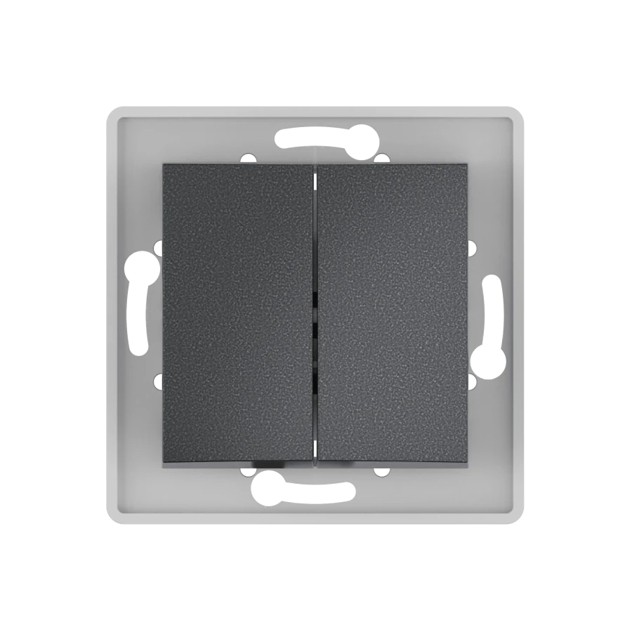 Caduceus Aling Prestige Graphite Dual Switch 10AX 250V