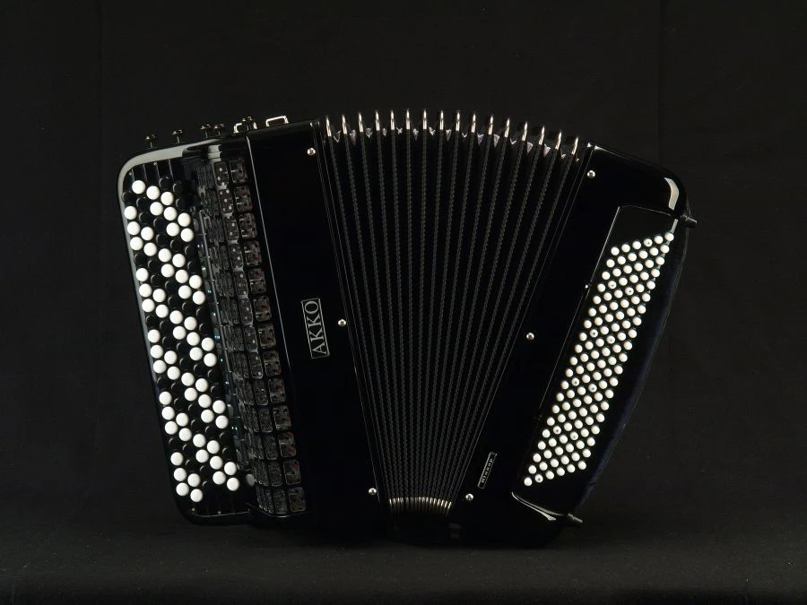 Akkordeon "Junior-2" 3-Voice 5-Row Musical Instrument