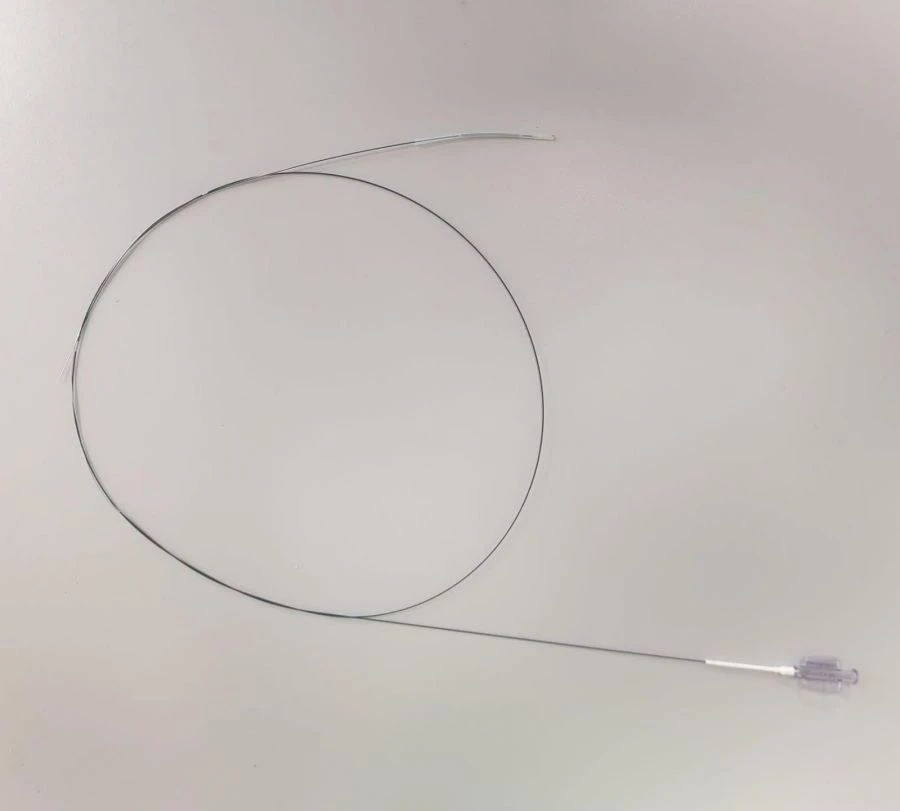 Biodegradable Drug-Eluting Coronary Stents "R-OLIMUS