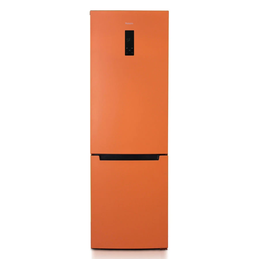 Two-Chamber Refrigerator with Freezer "Birюsa T960NF