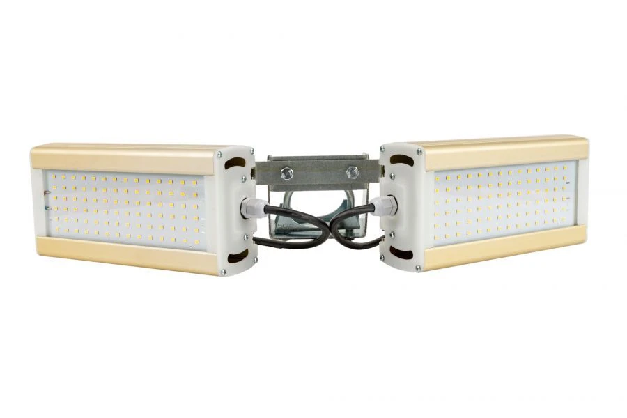 LED Light Module GOLD, GL Checkbox, 4000K, 48W