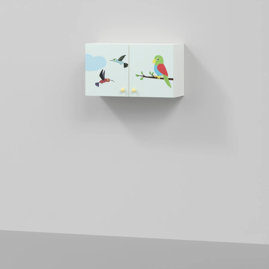 Wall-Mounted Cabinet for Document and Tool Storage, Model MF5.1-SHN-01