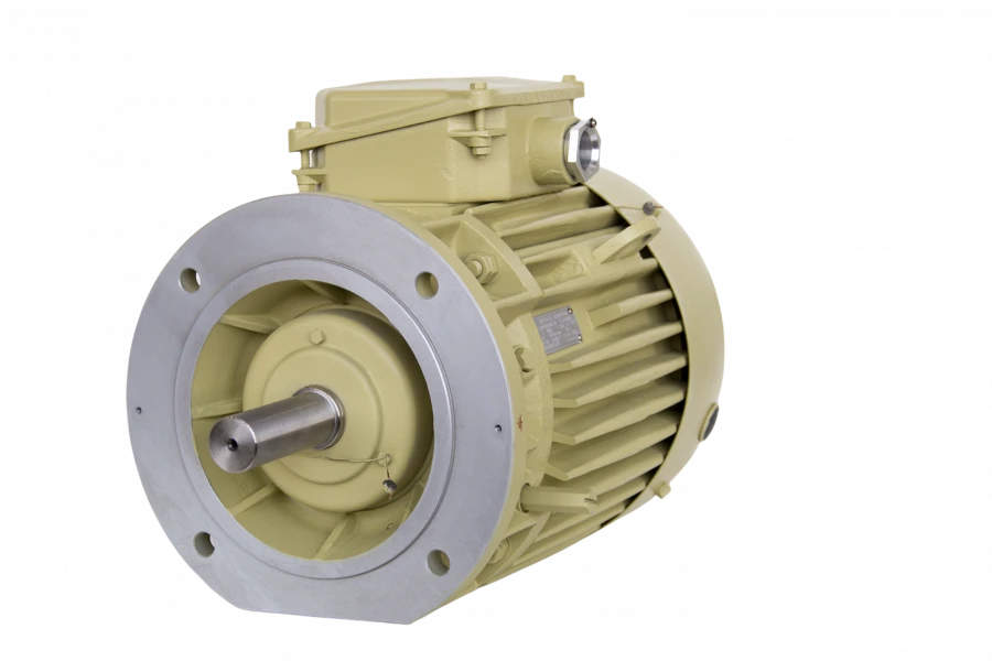 Three-Phase Asynchronous Motors DM160, DMN160 (11-18.5 kW)
