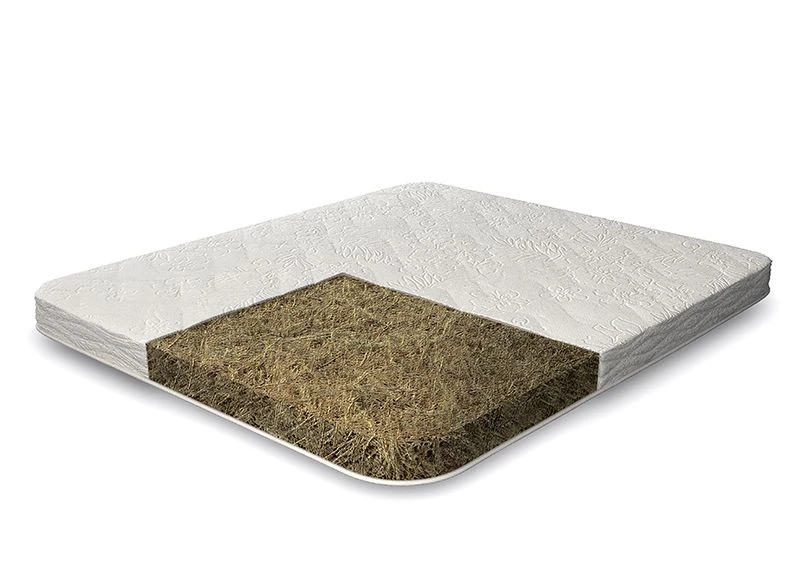 Baby Boom Barney Anatomical Mattress