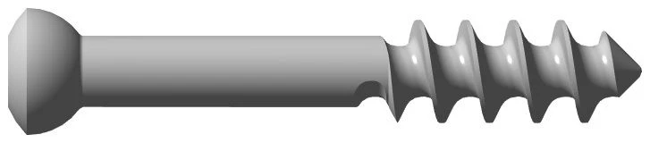 Sponge Screw for Intramedullary Canal Fixation, 6.5mm Diameter, 16mm Thread Length