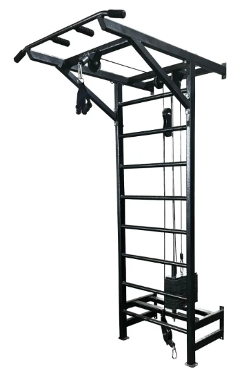 Multifunctional Swedish Wall with Pull-Up Bar Block Model