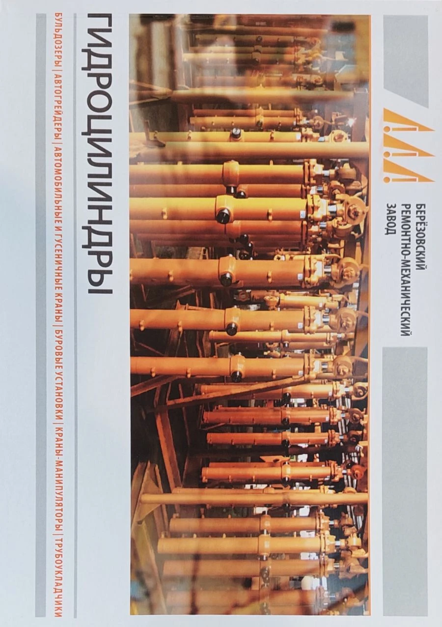 Hydraulic Cylinder GЦ-110.36x1200.13 for Linear Motion