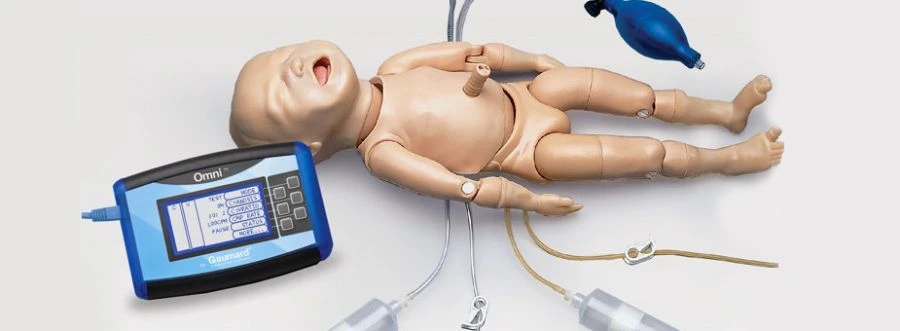 24-Week Premature Infant Model PS6604