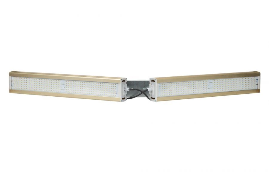 LED Module LIGHT GOLD, GL Mark, 4000K, 248W