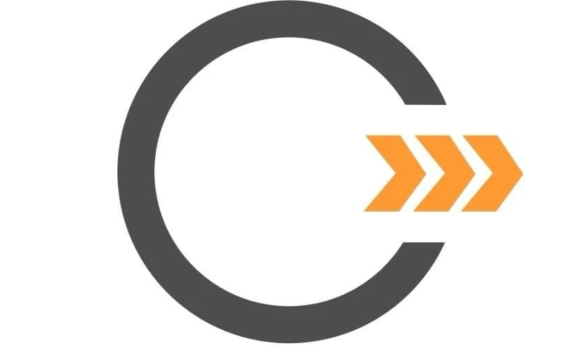 Wooden Frame Armchair Custom Design