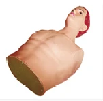 Heart Puncture Training Model CK817