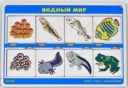 Wonders of Transformation Series Game: Aquatic World
