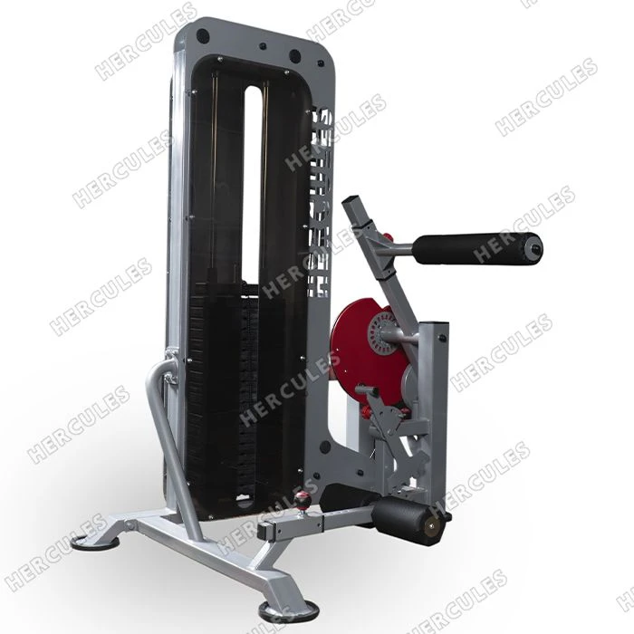 Abdominal Muscle Rehabilitation Trainer A-134i