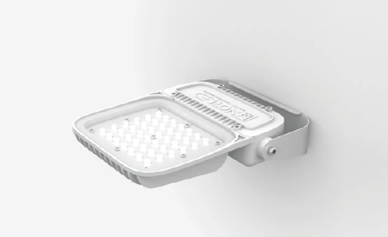 Architectural LED Floodlight PRO-30
