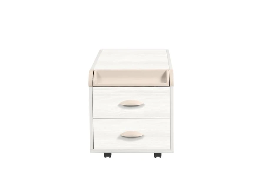 Mobile Cabinet for School and Office Supplies TUV.19