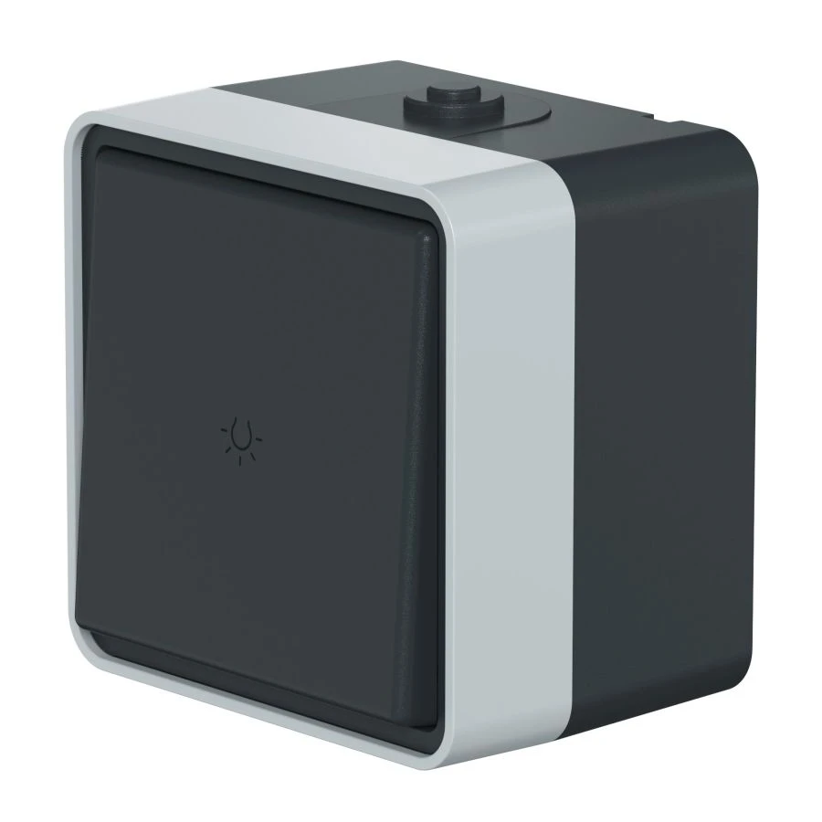 Caduceus Aling Protecta Single Switch for Open Wiring 10A, 250V, IP55, Anthracite Gray, Art. 22505.A1