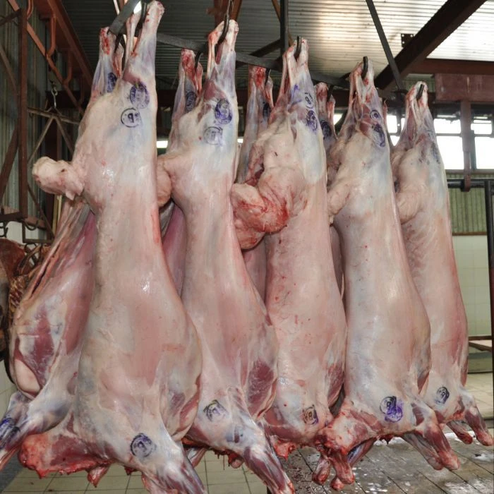 Frozen Lamb Meat - GOST 32605-2013