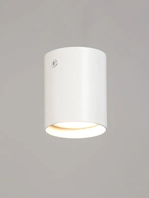 General Purpose Stationary Light V4639-0/1PL