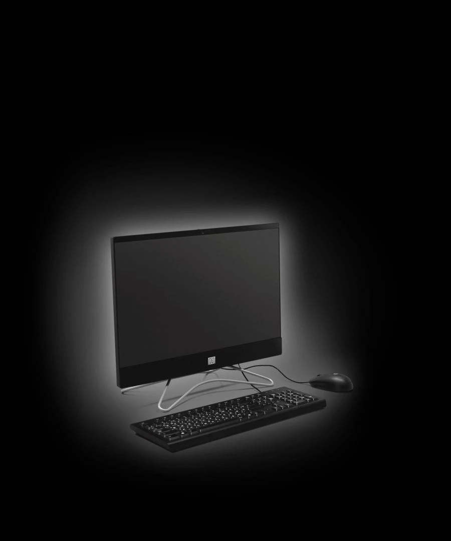 LIS-40.1 Information System - Secure Computer Workstation