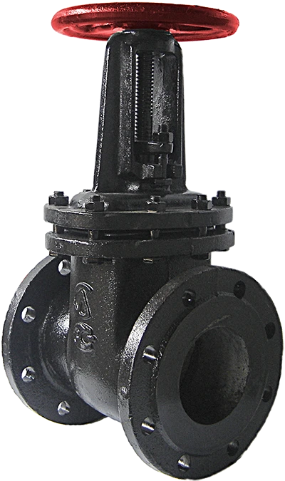 Cast Iron Parallel Gate Valve 30ch6br