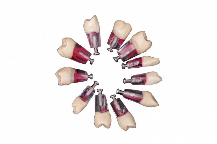 Endodontic Files Set for Standard Model, 28 pcs PD-NEZ M28